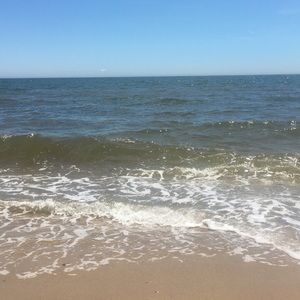 Meet your Posher, Brandi